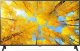 Telewizor LG 43UQ75003LF LED 43'' 4K Ultra HD WebOS 22 7