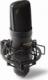 Mikrofon Marantz Professional MPM2000U 1