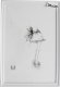 Ramka Focus Focus Verona White 20x30 1