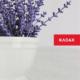 Kadax DONICZKA OSŁONKA DONICA NA KWIATY 13CM KOLORY MISA 4