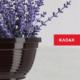 Kadax DONICZKA OSŁONKA DONICA NA KWIATY 20CM KOLORY MISA 2