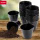 Kadax DONICZKI NA SADZONKI ROZSAD PRODUKCYJNE 6cm 100szt 6