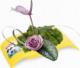 Kadax DONICZKA OSŁONKA DONICA IKEBANA KOLORY KOMPOZYCJA 1