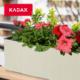 Kadax DONICZKA SKRZYNKA BALKONOWA + WKŁAD 19x56cm KREM 7