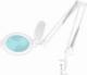 Activeshop LAMPA LUPA LED GLOW MOONLIGHT 8013/6"" WHITE DO BLATU 1
