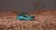 New Balance Buty do biegania trailowe damskie New Balance Fresh Foam MORE WTMORLT2 US 7 9