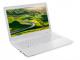 Laptop Acer Aspire F5-573G (F5-573G-59WU) 1