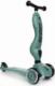 Hulajnoga Scoot and Ride Ride Highwaykick 1 Zielony 3