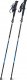 Rockland Kije trekkingowe  DYNAMIC 4