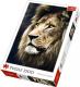 Trefl Puzzle Portret Lwa 1