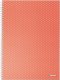 Esselte Zeszyt Colour'Breeze A5 squared coral 1