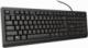 Klawiatura Trust Teclado TK-150 Przewodowa Czarna PL (23982) 2
