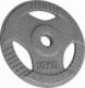 Physionics Physionics obciążenie żeliwne, 10 kg, 31 mm 1