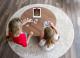 Tangible Play Osmo Genius Kit - zestaw 5 gier edukacyjnych do iPad (podstawka + reflektor) 2