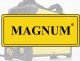 Magnum MAGNUM SPAWARKA INWERTOROWA THF206 P SOFT 25