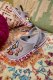 Crocs Buty Chodaki Klapki Crocs Bayaband 205089 41-42 8
