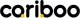 Rowerek biegowy CARIBOO CB Rowerek MAGNESIUM PRO (NIEBIESKI) 5