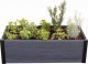 Keter KETER Doniczka Maple through, podniesiona doniczka, grafitow 5