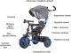 Caretero Rowerek 3-kołowy Buzz Grey 3