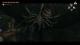 The Legend of Zelda Twilight Princess HD (NIUS7210) Wii U 7