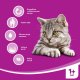 Whiskas Adult Sucha karma dla dorosłego kota z wołowiną 14kg 6