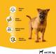 Pedigree Vital Junior Maxi z kurczakiem i ryżem, duże rasy 15kg 2