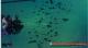 DILUVION Fleet Edition PC 2
