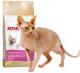 Royal Canin Sphynx Adult karma sucha dla kotów dorosłych rasy sfinks 2kg 1
