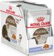 Royal Canin AGEING w galaretce 85 g 2