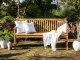 Beliani Ławka ogrodowa z certyfikowanego drewna 160 cm VIVARA 2