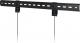 Arctic Uchwyt ścienny TV Basic L 42'' - 80'' 1