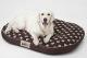 Hobbydog Materac Owalny - Grafit L 5