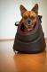 Hobbydog Torba Z Eko Skóry Czarna R1 20x36x22 cm 1