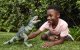 Figurka Mattel Jurassic World Dinozaur Gigantozaur 53 cm (GYC94) 1