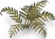 Gamers Grass Gamers Grass: Laser Plants - Bracken - Paproć 1