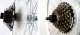 Shimano SHIMANO Wolnobieg 7-rzędowy MTB FTZ500 Turney 17