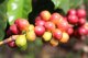 Kawa ziarnista Cafes Guilis Espresso Descafeinado 1 kg 2