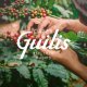 Kawa ziarnista Cafes Guilis Cafe de Finca Brasil 1 kg 5