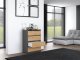 Topeshop KOMODA SZAFKA REGAŁ 4 SZUFLADY M4 ANTRACYT / DĄB ARTISAN 5