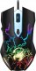 Mysz Genius Scorpion Spear  (31040002400) 1