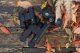 Lornetka Lornetka Dorr Scout 8x42 czarna 7