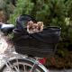 Trixie Torba rowerowa 48×29×42 cm czarna 1