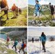 Nordic Walking 2 Kije Kijki Trekkingowe Regulowane 2