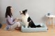 Petkit PETKIT Deep Sleep All Season Pet Bed L Green 3