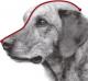 Trixie Kaganiec skórzany Julius-K9 - M 29/23 2