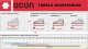 Ocun Buty wspinaczkowe OCUN BULLIT 42,5 4