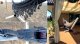 am-gardenhome Hamak boho-makrama XXL 2-osobowy 4