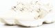 Seastar Sneakersy z mieniącą się siateczką złote-39 5
