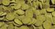 Sera WELS-CHIPS PUSZKA 100 ml 1