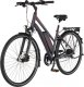 Rower elektryczny Fischer Viator 1.0 28" grafitowy 2